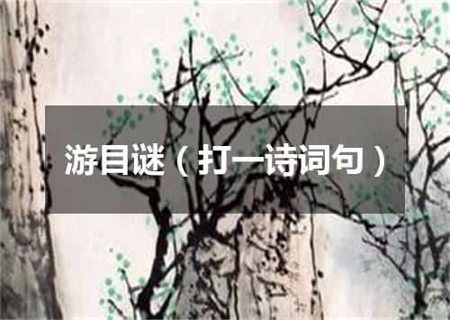 游目谜（打一诗词句）