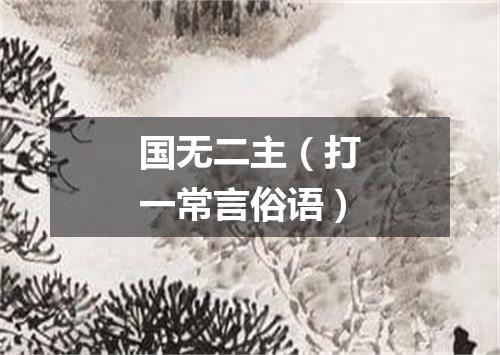 国无二主（打一常言俗语）