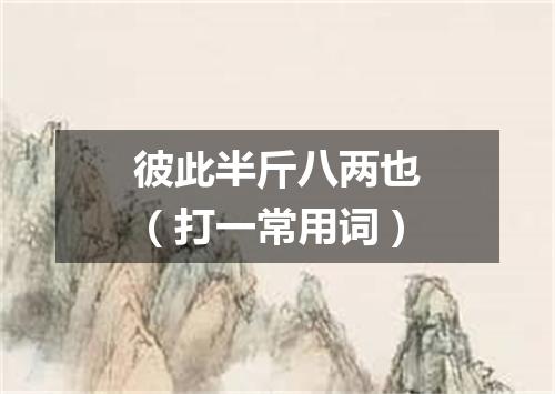 彼此半斤八两也（打一常用词）