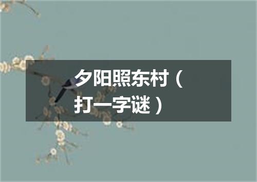 夕阳照东村（打一字谜）