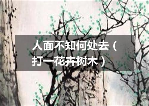 人面不知何处去（打一花卉树木）