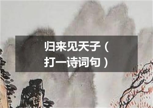 归来见天子（打一诗词句）