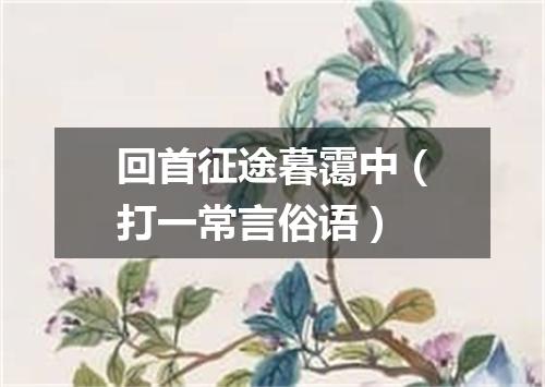 回首征途暮霭中（打一常言俗语）