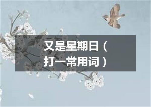 又是星期日（打一常用词）