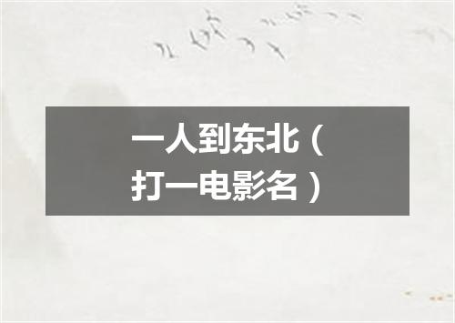 一人到东北（打一电影名）