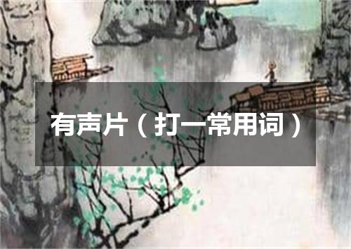 有声片（打一常用词）