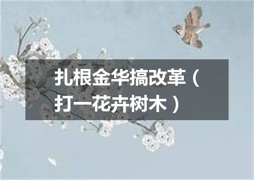 扎根金华搞改革（打一花卉树木）