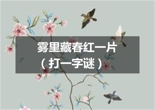 雾里藏春红一片（打一字谜）