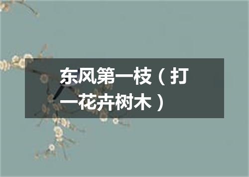 东风第一枝（打一花卉树木）
