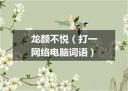龙颜不悦（打一网络电脑词语）