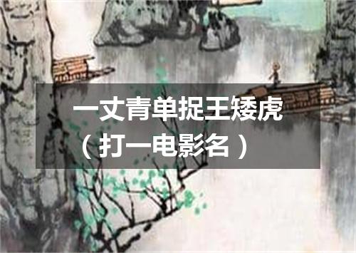 一丈青单捉王矮虎（打一电影名）