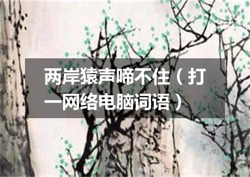 两岸猿声啼不住（打一网络电脑词语）