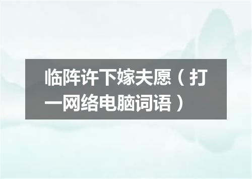 临阵许下嫁夫愿（打一网络电脑词语）