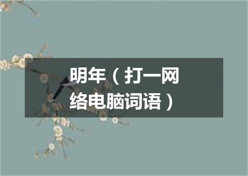 明年（打一网络电脑词语）