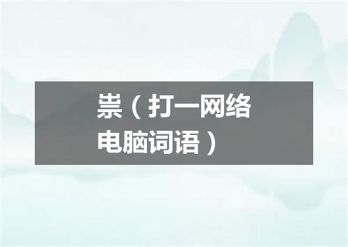 祟（打一网络电脑词语）