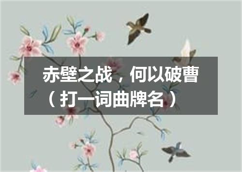 赤壁之战，何以破曹（打一词曲牌名）