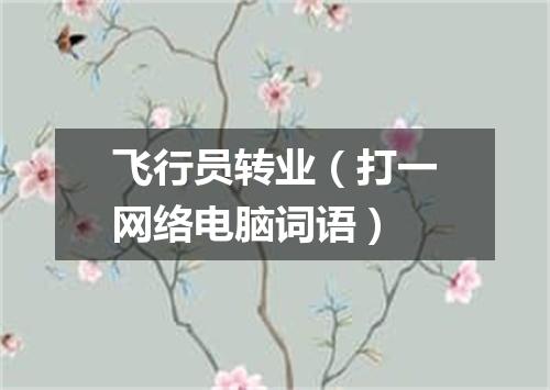 飞行员转业（打一网络电脑词语）