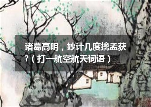 诸葛高明，妙计几度擒孟获?（打一航空航天词语）