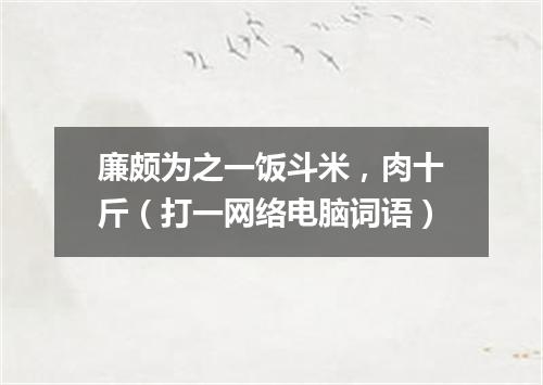廉颇为之一饭斗米，肉十斤（打一网络电脑词语）