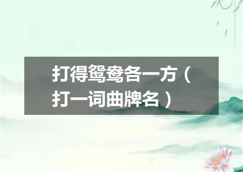 打得鸳鸯各一方（打一词曲牌名）