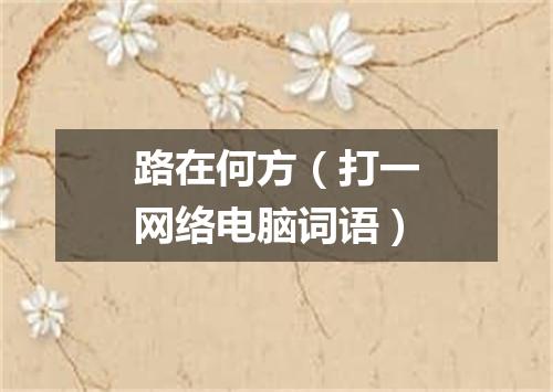 路在何方（打一网络电脑词语）
