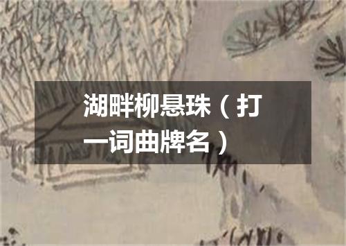 湖畔柳悬珠（打一词曲牌名）