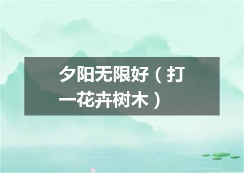 夕阳无限好（打一花卉树木）