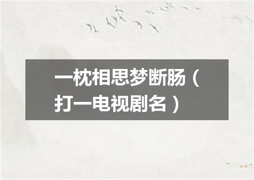 一枕相思梦断肠（打一电视剧名）