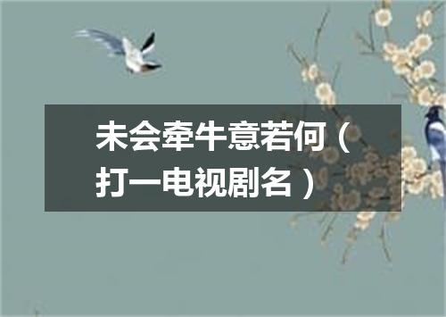 未会牵牛意若何（打一电视剧名）