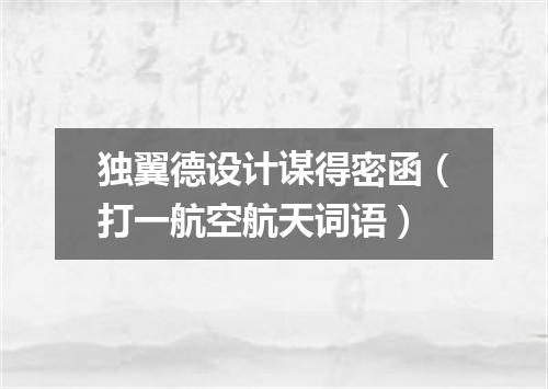 独翼德设计谋得密函（打一航空航天词语）