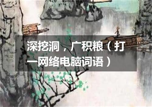深挖洞，广积粮（打一网络电脑词语）