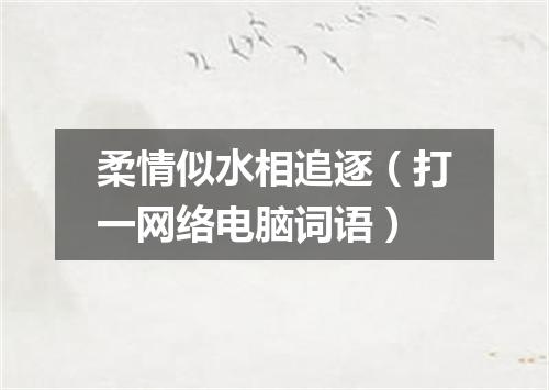 柔情似水相追逐（打一网络电脑词语）
