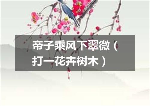 帝子乘风下翠微（打一花卉树木）