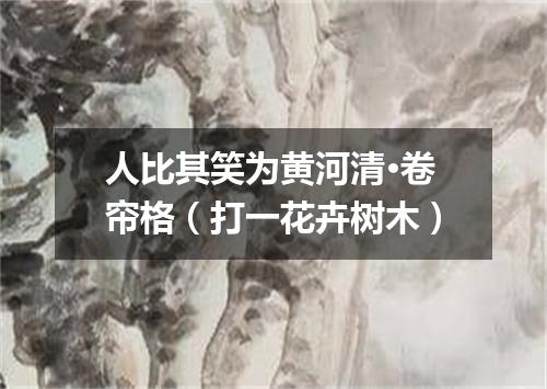 人比其笑为黄河清·卷帘格（打一花卉树木）