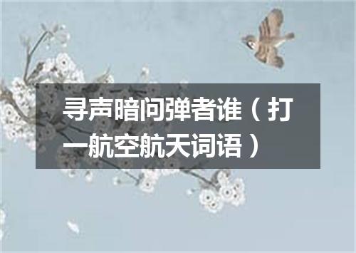 寻声暗问弹者谁（打一航空航天词语）