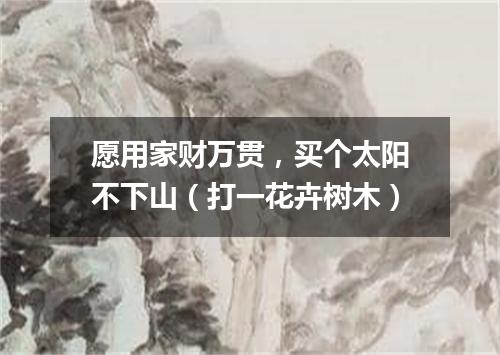 愿用家财万贯，买个太阳不下山（打一花卉树木）