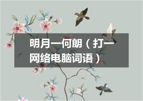 明月一何朗（打一网络电脑词语）