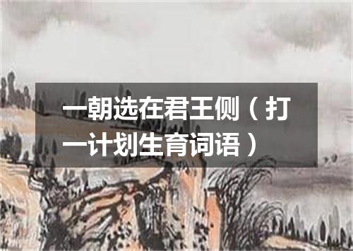 一朝选在君王侧（打一计划生育词语）