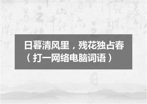 日暮清风里，残花独占春（打一网络电脑词语）