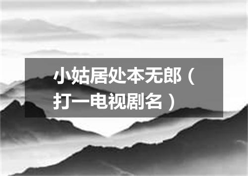 小姑居处本无郎（打一电视剧名）