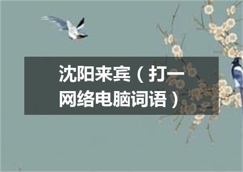 沈阳来宾（打一网络电脑词语）