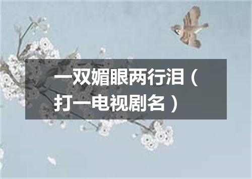 一双媚眼两行泪（打一电视剧名）