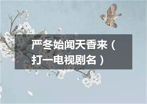 严冬始闻天香来（打一电视剧名）