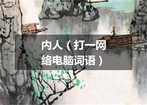 内人（打一网络电脑词语）