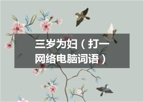 三岁为妇（打一网络电脑词语）