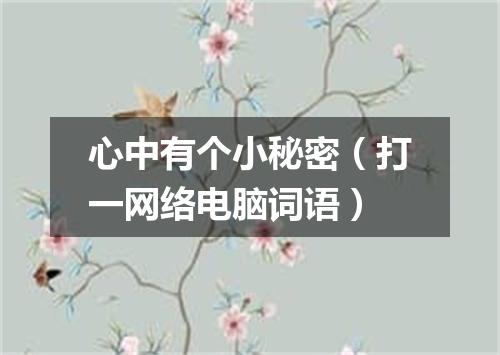 心中有个小秘密（打一网络电脑词语）
