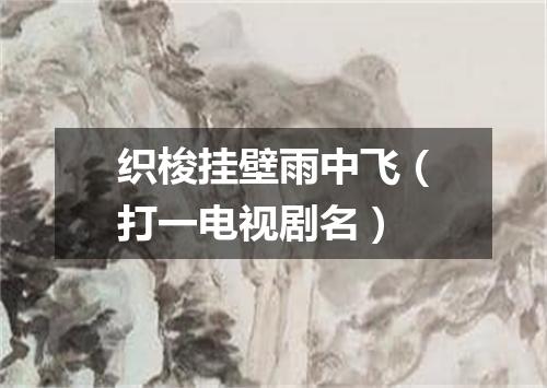 织梭挂壁雨中飞（打一电视剧名）