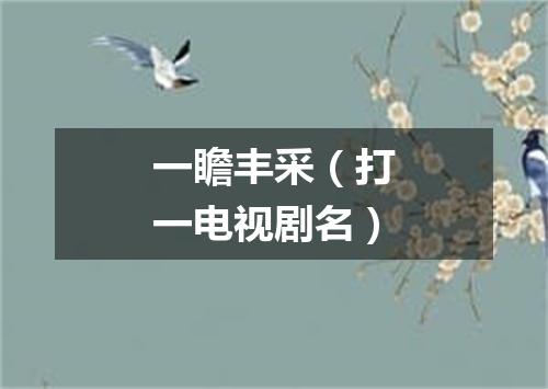 一瞻丰采（打一电视剧名）