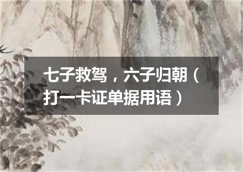 七子救驾，六子归朝（打一卡证单据用语）