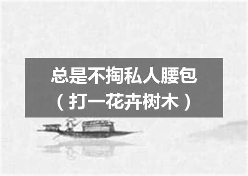 总是不掏私人腰包（打一花卉树木）